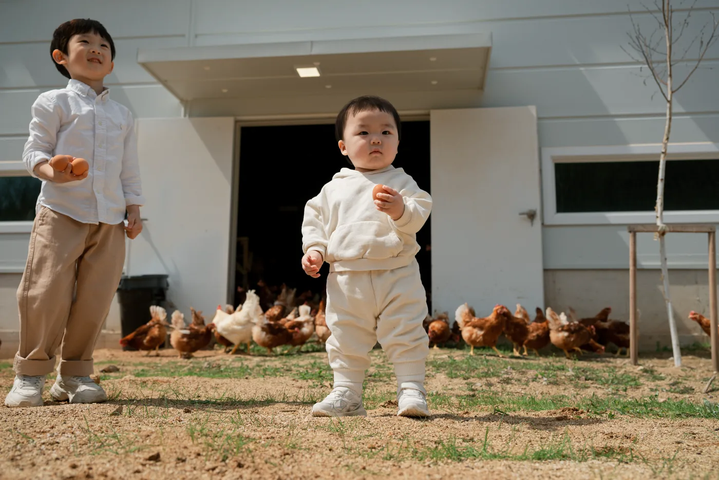 아침에계란 가족의 일상 1