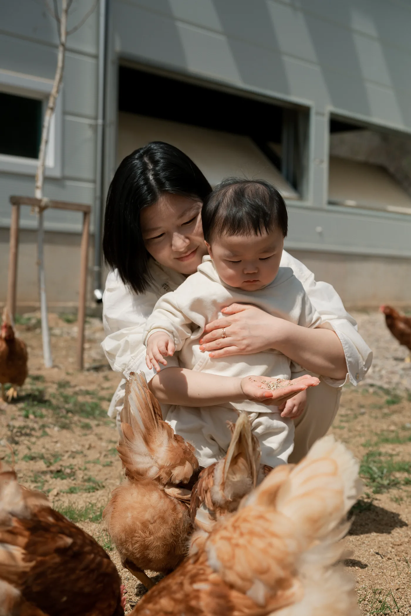아침에계란 가족의 일상 5