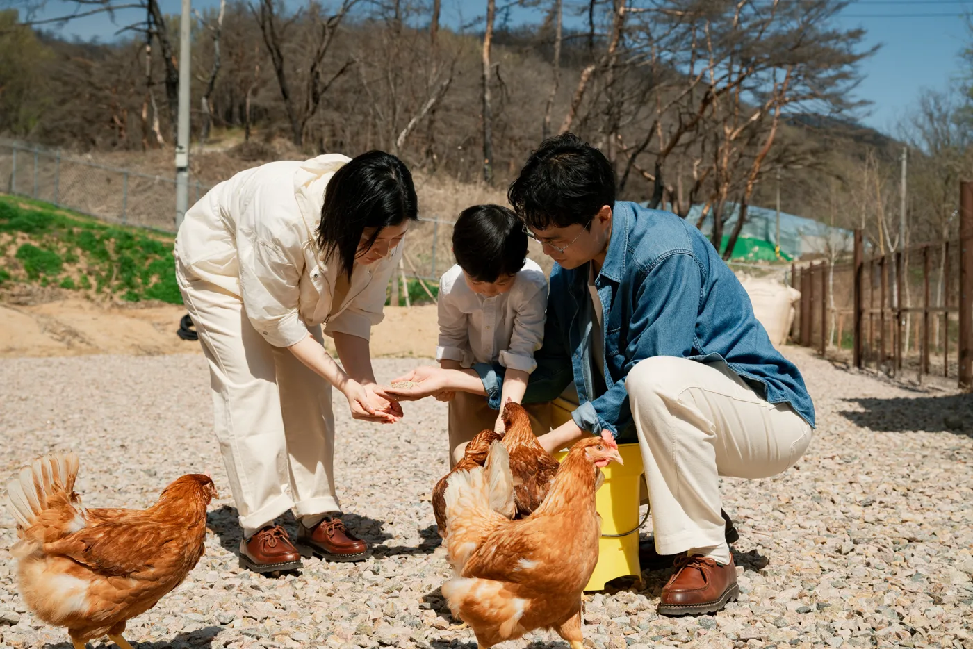 아침에계란 가족의 일상 7
