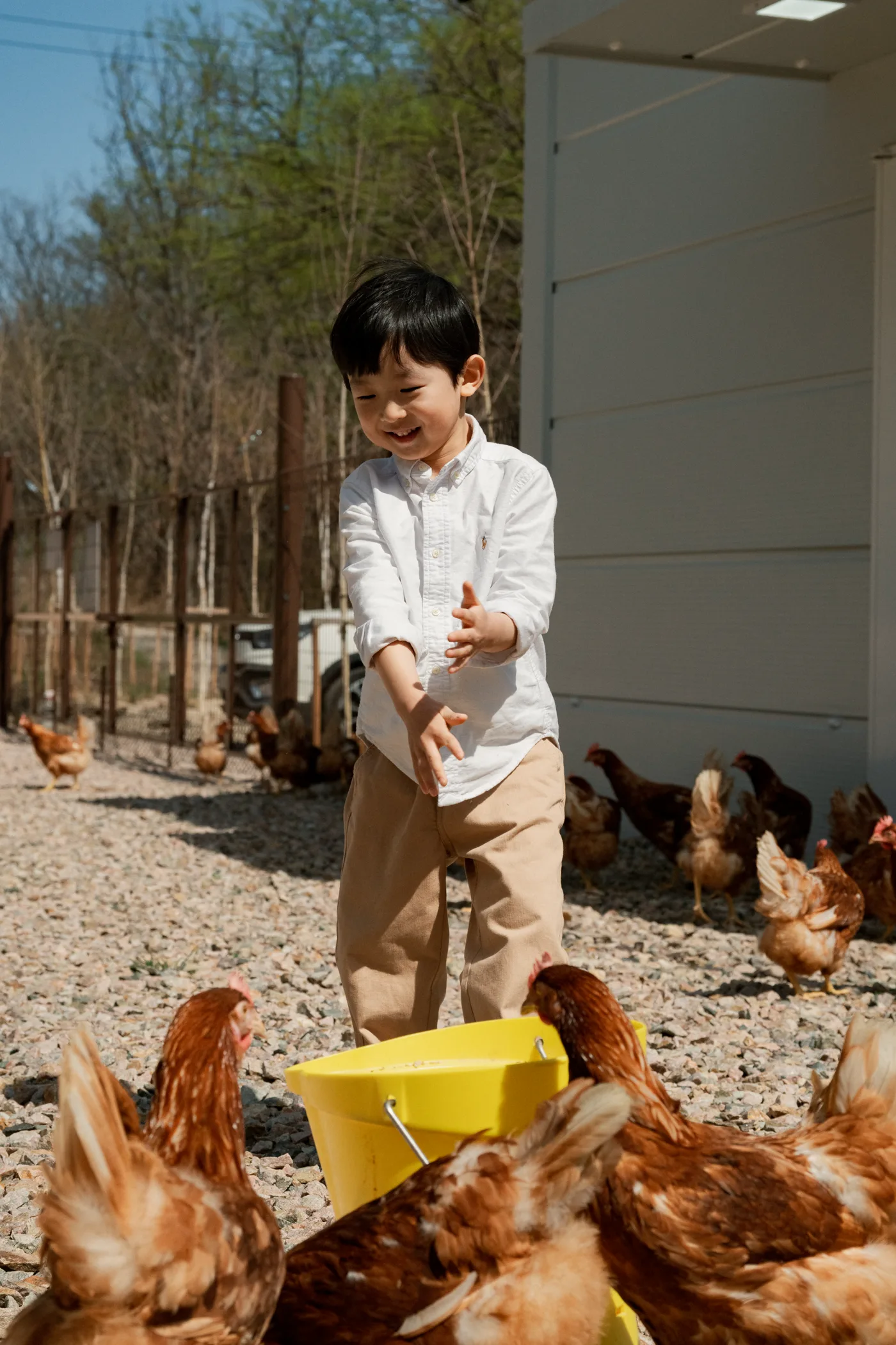 아침에계란 가족의 일상 8