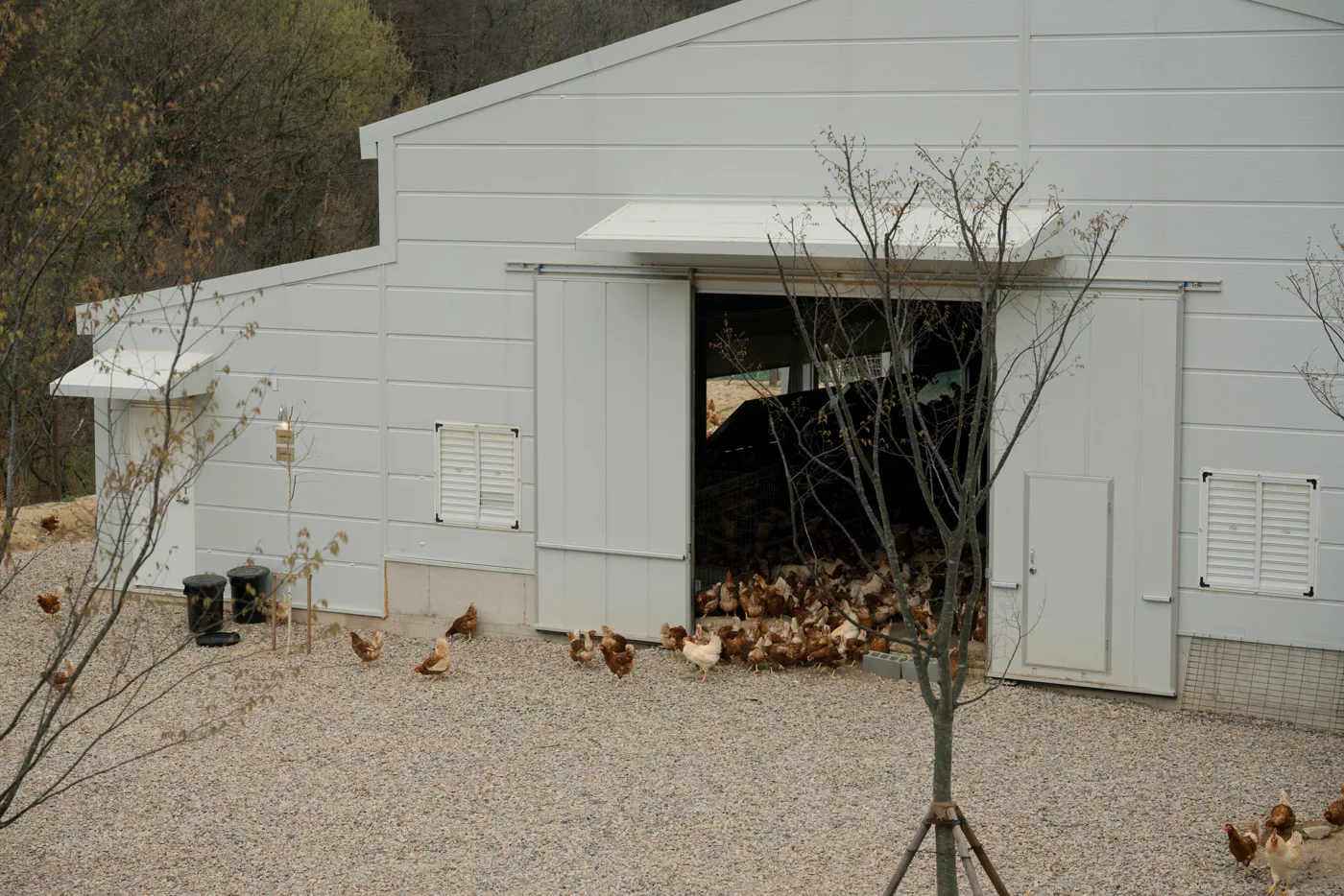 아침에계란 가족의 일상 9