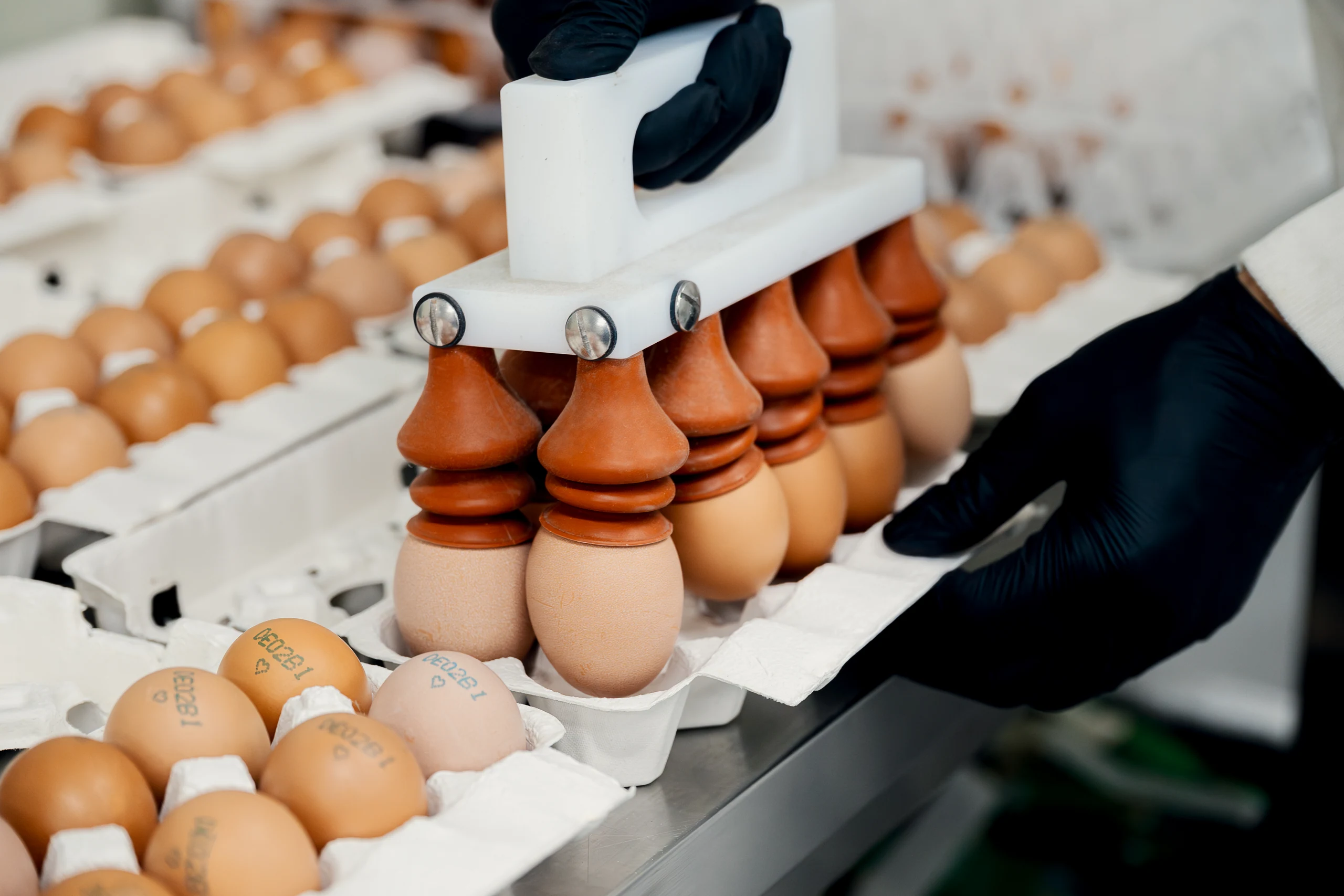 아침에계란 포장 과정