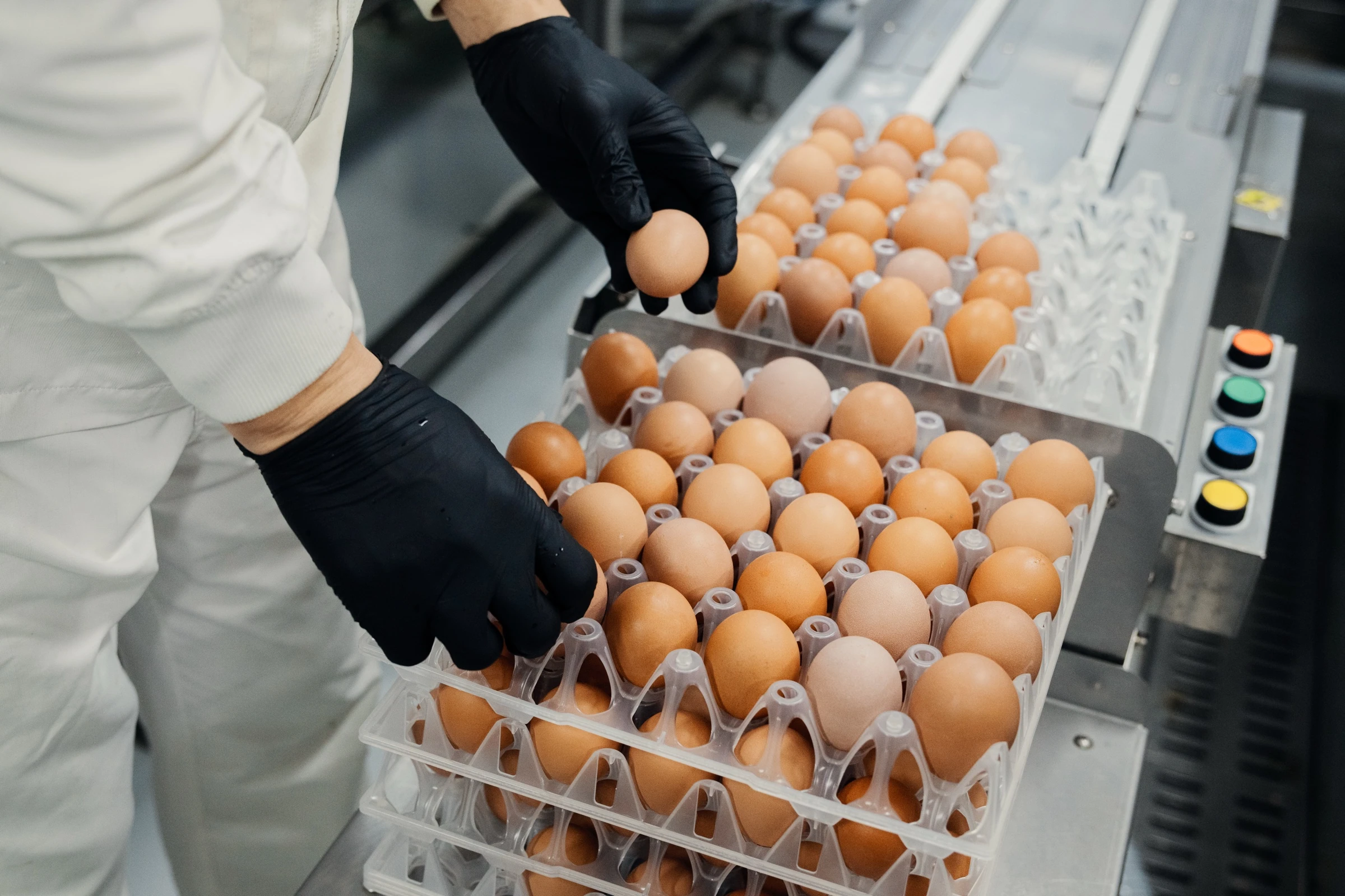 당일 산란, 당일 발송 — 난각번호 디테일